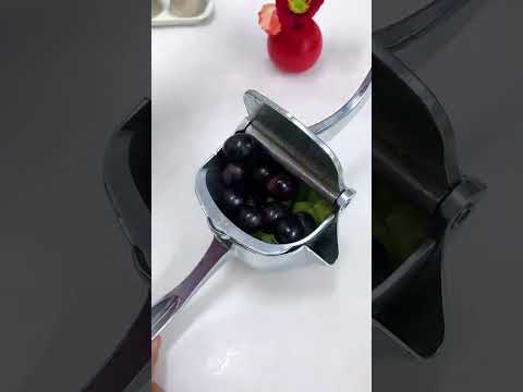 Premium Stainless Steel Fruit Press - Manual Citrus Juicer for Lemon, Orange & Lime